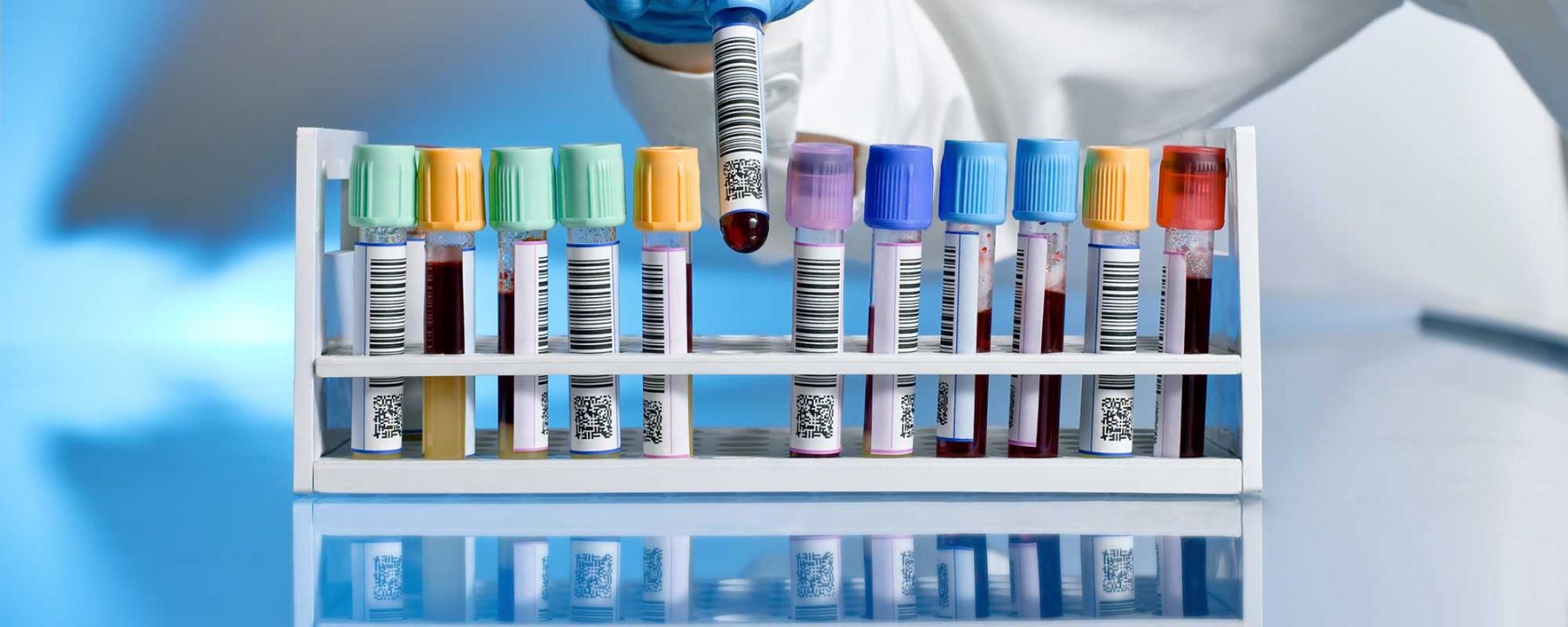 PathologyCourse